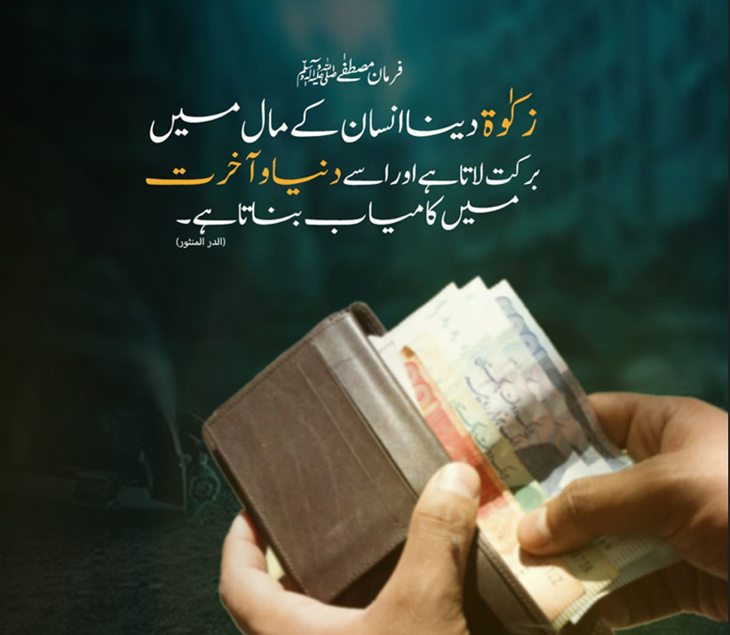 Impact Photo other-43